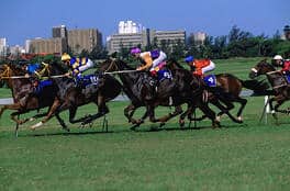 south africa horse racing